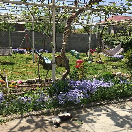 Guesthouse Aisi In لاجوديخي المظهر الخارجي الصورة