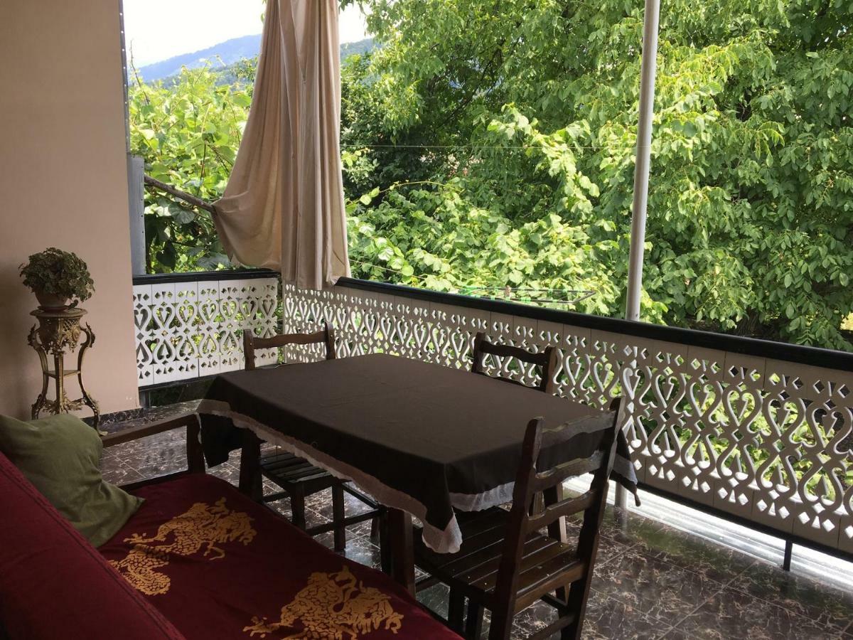 Guesthouse Aisi In لاجوديخي المظهر الخارجي الصورة